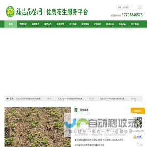 福达花生网